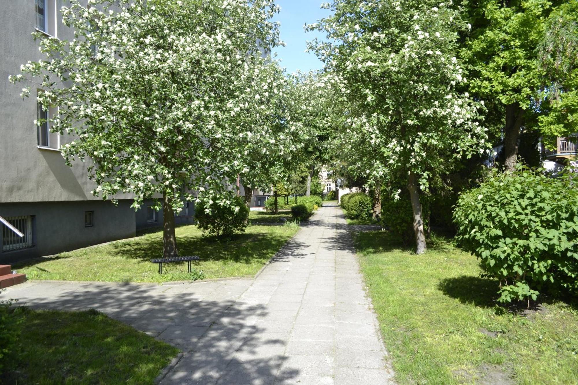 Sloneczny Symi Apartmán